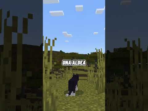"BECOMING a CAT in Minecraft?!? #shizo".