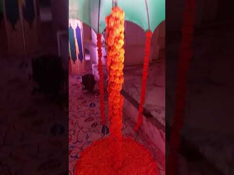 Wedding Planner portfolio by The Shaadi Planners in Vadodara - Photo 1