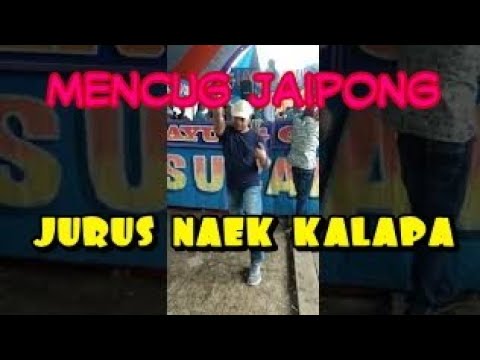 Mencug bajidor (layung grup )