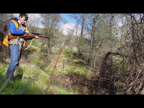 T53 Mosin Nagant Test Fire After Cleaning