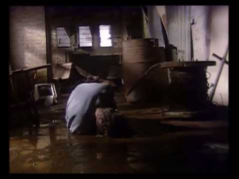 מחפש תשובה - היהודים mehapes tshuva - hayehudim