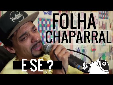 E se - Folha Chaparral | PEIXE BARRIGUDO