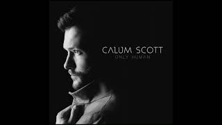 Download lagu You Are The Reason-Calum Scott(Audio) mp3