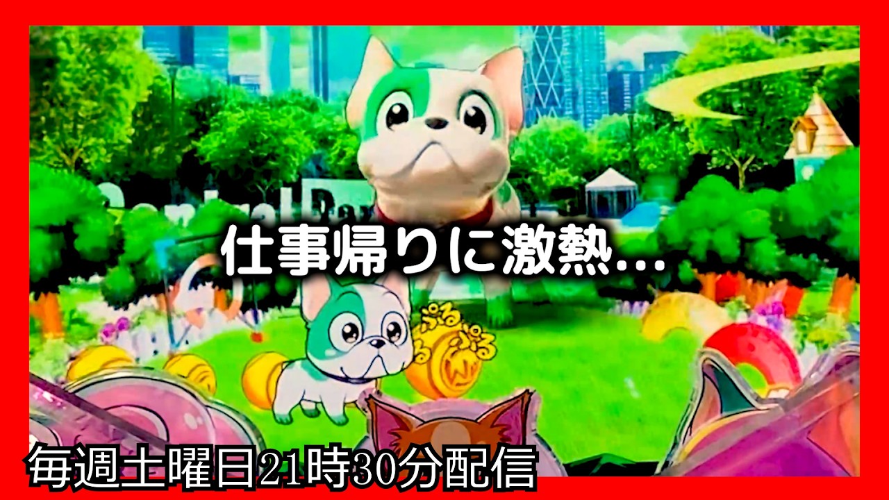 ラッキートリガーでお金を増やそうとしてみたら、とんでもない激熱がやってきました。【PAわんわんパラダイスCELEBRATION】【沖海6 パチンコ 海物語 ライブ ガチ践大海5!】#パーラーあげ実