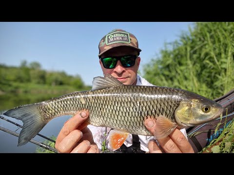 405 A WORN TRAIL ON THE BAND - RIVER FEEDER