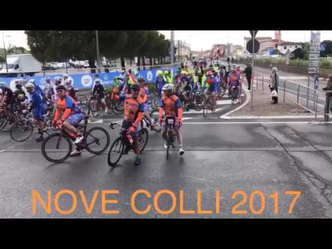 Cani sciolti alla 9 colli 2017