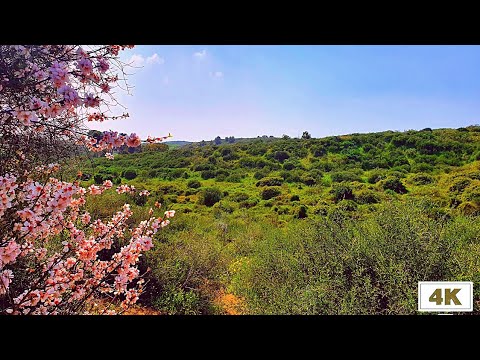 The national park in Ness Ziona, Israel