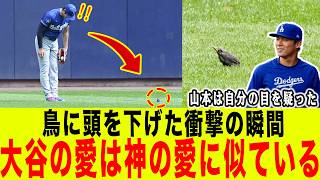 「鳥たちでさえ大谷を愛している」大谷翔平が鳥に頭を下げた直後、山本由伸の口から出た言葉がヤバすぎた