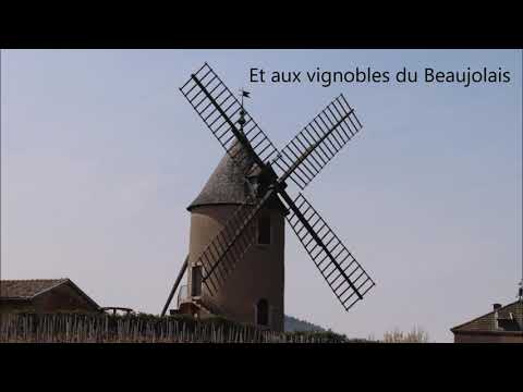 BFC Dégustation, cours d'oenologie à Sensation Vin