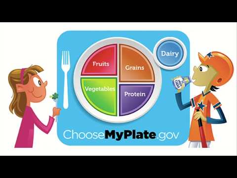 Food Groups & MyPlate