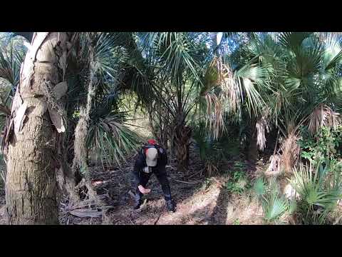 Hike N' Bike to an Ancient Indian Complex