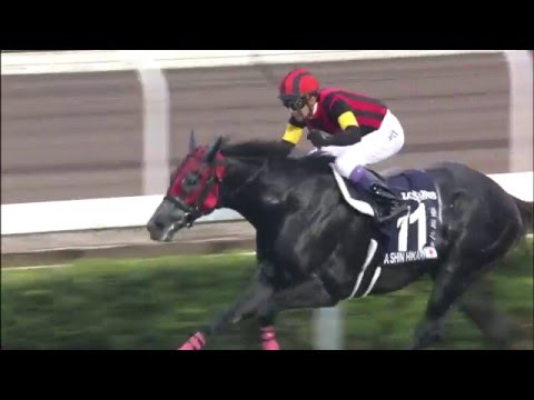 [HKIR 2015] SHIN HIKARI wins LONGINES Hong Kong Cup 2015