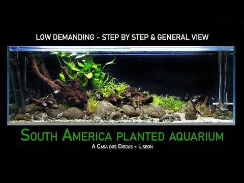 Casa dos Discus - 150cm South America - Low demanding planted aquarium