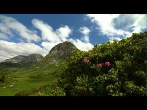Hotel Gasthof Post Lech am Arlberg - Sommeraktivitäten