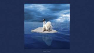 KayTheYacht - Polar Bear