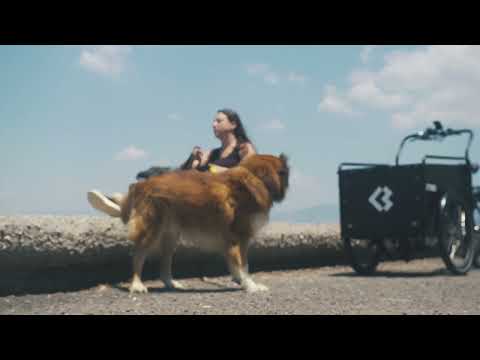 Bimas eCargo Lifestyle Reel