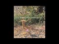 leyvua - Guitarra
