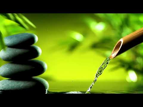 Bamboo Water Fountain + Tibetan Bowls | White Noise for Sleep, Studying, Meditation, Yoga | 1 Hour
