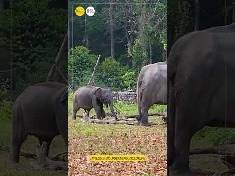 Bodoland is now more accessible than ever