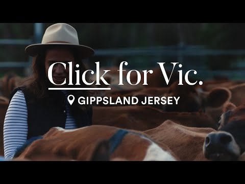 Meet Sallie Jones of Gippsland Jersey in East Gippsland, Victoria