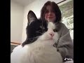 Cat Makes Noise When You Touch It Shorts See Description
