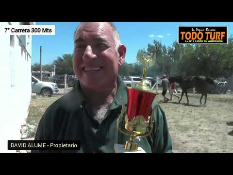 DON DAVID Villa Dolores 1/3/2026