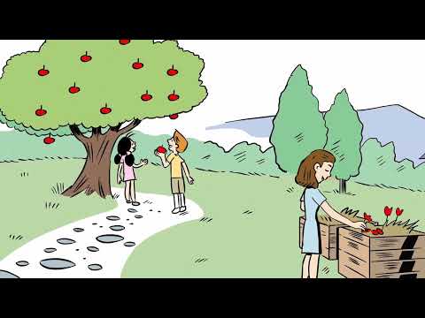 Cinkarna Celje - 150 LET