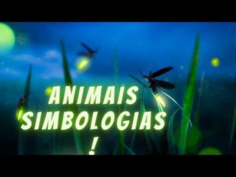INSPIRA-TE e APRENDE COM OS ANIMAIS | Animais Místicos e suas Simbologias