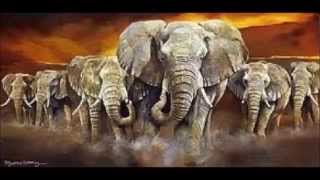 African Skies  Brecker Brothers   steve jones