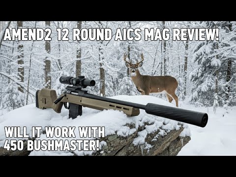 Amend2 12 Round AICS Mag Review! .Will It Run .450 Bushmaster?