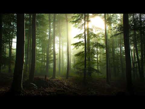 Dj Tiesto feat BT - Love Comes Again (Original Mix)