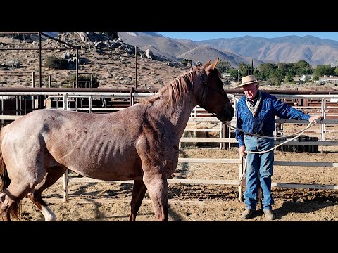 Die richtige Fußstellung
