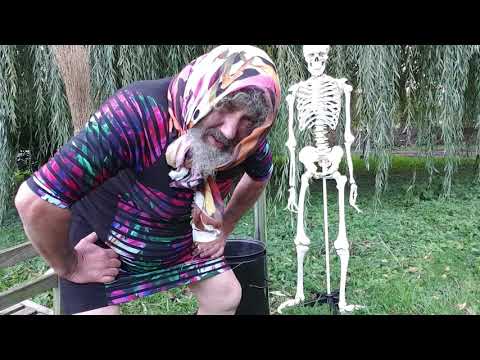 Robert Franz :Verhexte Pharma