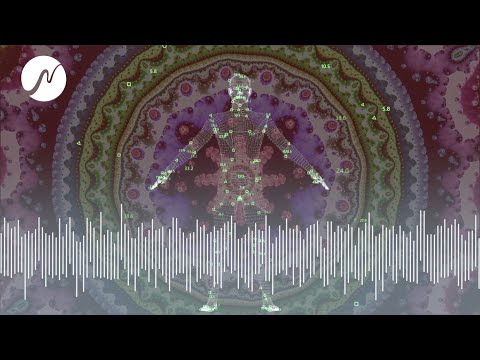 Unterstützung bei Hernien (neowake® Biofrequenzen)