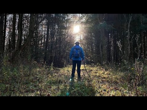 Herbstliche Wanderung aus Blankenburg in den Harz