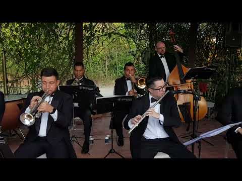 I see the light - Banda Santa Victoria Banda para festa debutante