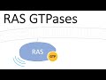 RAS Protein Small GTPases