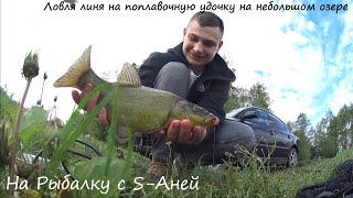 Ловля линя летом на поплавочную удочку