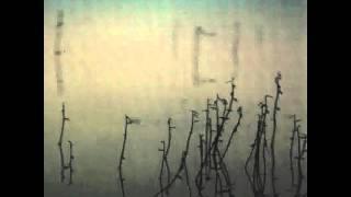 Tenhi - Hiljaiseksi Lampi Jää (The Pond Stays Still)