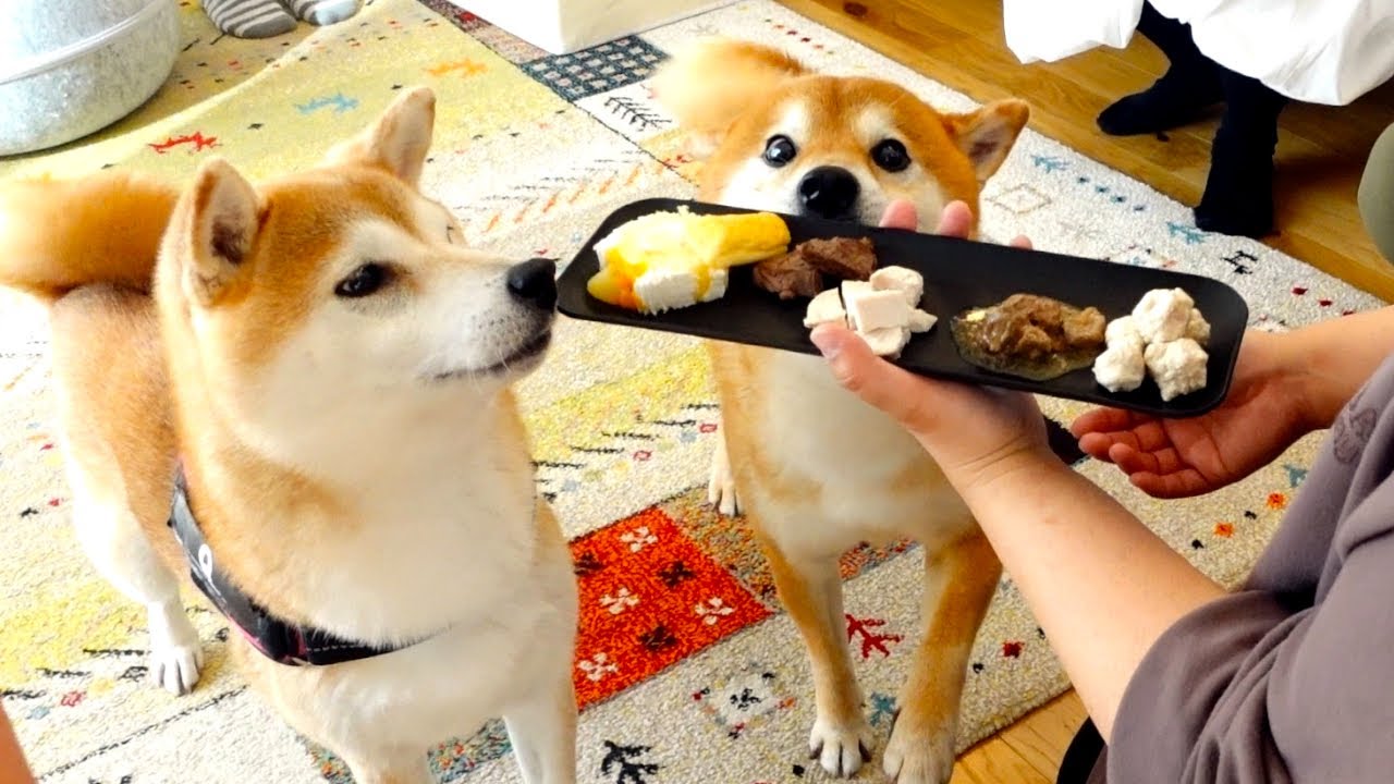 7歳になったおてんば長女、ある変化が見られる