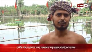 ভিডি ও