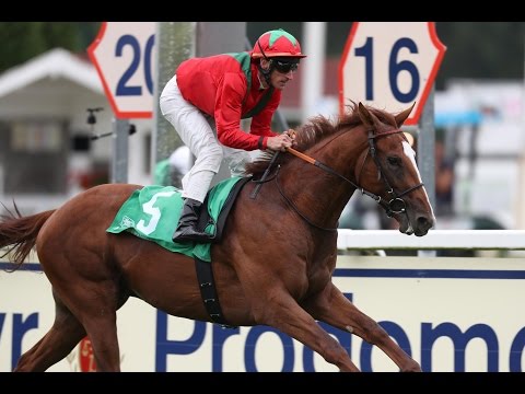 München: Dallmayr Ethiopia-Rennen (D) - Sieger: Navarra King