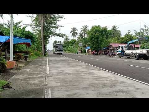 Take it easy 😎 AMV TRAVEL AND TOURS., INC. 8058