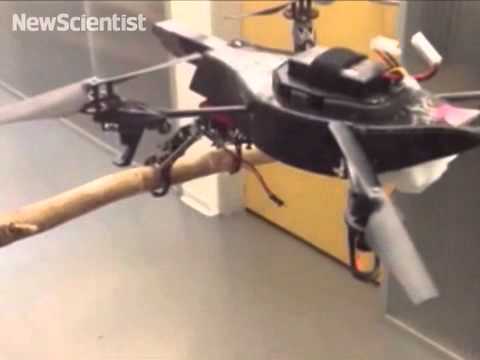 Drone with legs can perch on a branch