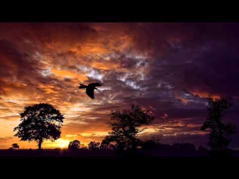 Hoyaa pres. Lunar System - Beyond Liberty (Original Mix) [HD]