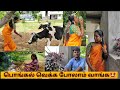 எனக்கு மாடு னா பயம் இப்படி பண்ணிட்டி�