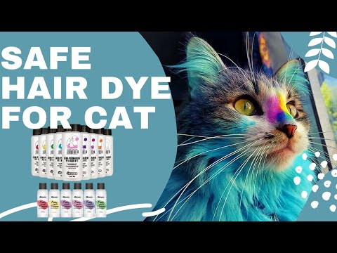 Cat Hair Dye | OPAWZ Safe Pet Hair Dyes For Cat