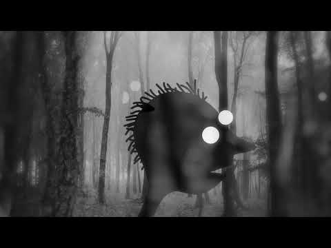 LAUGHING STOCK - From the Shadows (single edit) official video