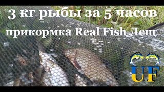 Реал фиш прикормка в россии