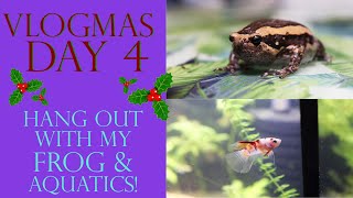 Vlogmas Day 4 | HANG OUT WITH MY FROG & AQUATICS!
